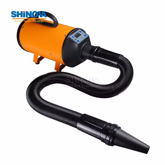 Charge Portable Mobile High Power Pet Grooming Finishing Hair Dryer