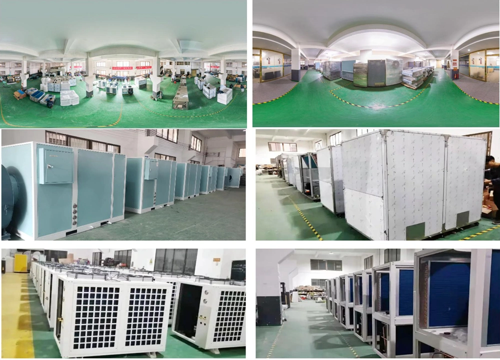 380V Drying Equipment New Condition Seafood Drying Cabinet